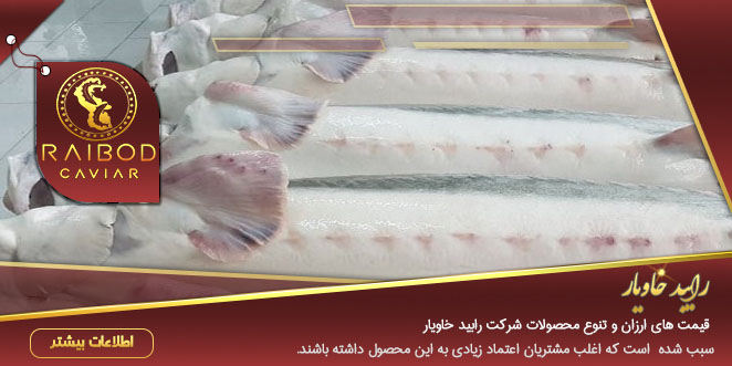 صادرات ماهیان خاویاری