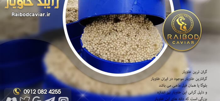 صادرات خاویار پرورشی از ایران با قیمت مناسب